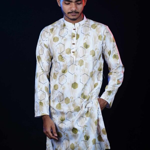 Printed Panjabi